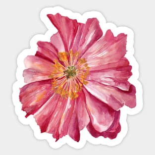 Pink Poppy Sticker